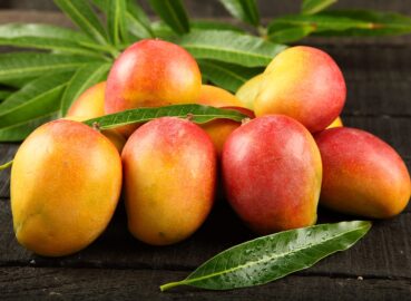 Mango Feast by GiftWifts – Where Summer Starts with Sweetness!