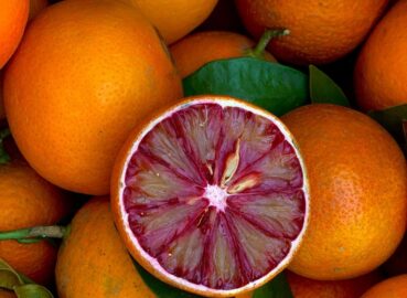 From Orchard to Your Home: The Journey of Fresh Kinnow This Winter